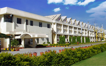  Leatherette brands in india